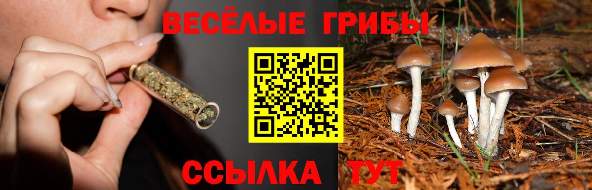 Галлюциногенные грибы MAGIC MUSHROOMS  Галлюциногенные грибы GOLDEN TEACHER  цены наркотик  Фрязино  Вход с VPN 